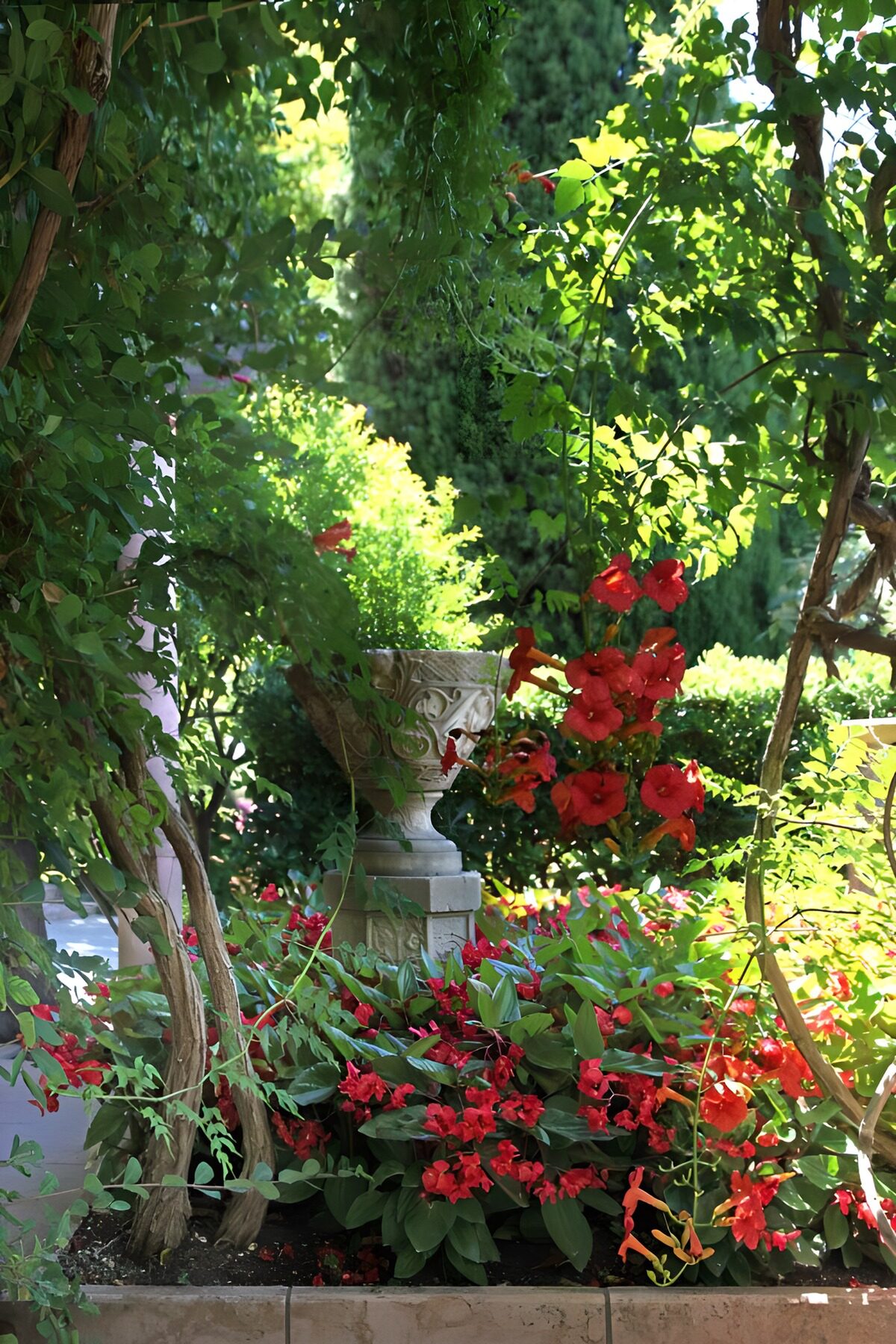 Lush Garden Oasis with Vibrant Blooms