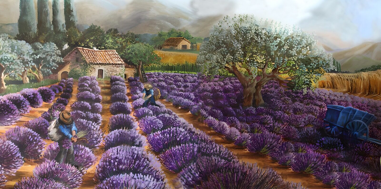Lavender Fields in Bloom