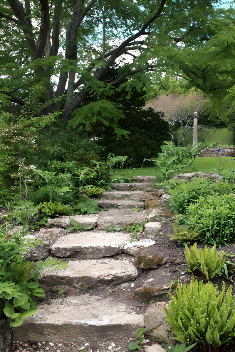 Tranquil Garden Pathway