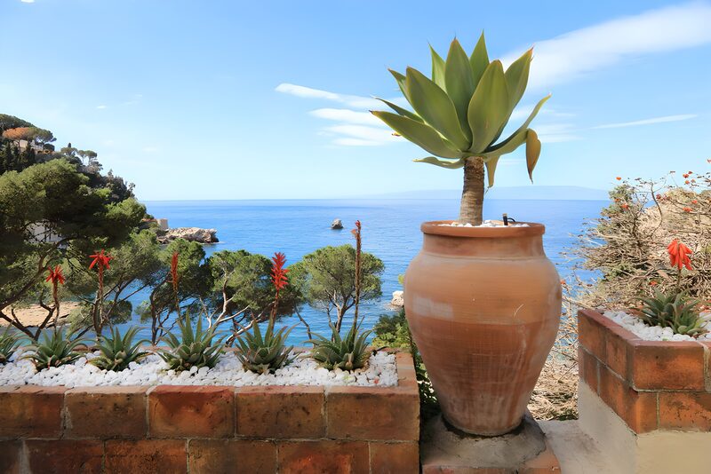 Serene Coastal Garden View