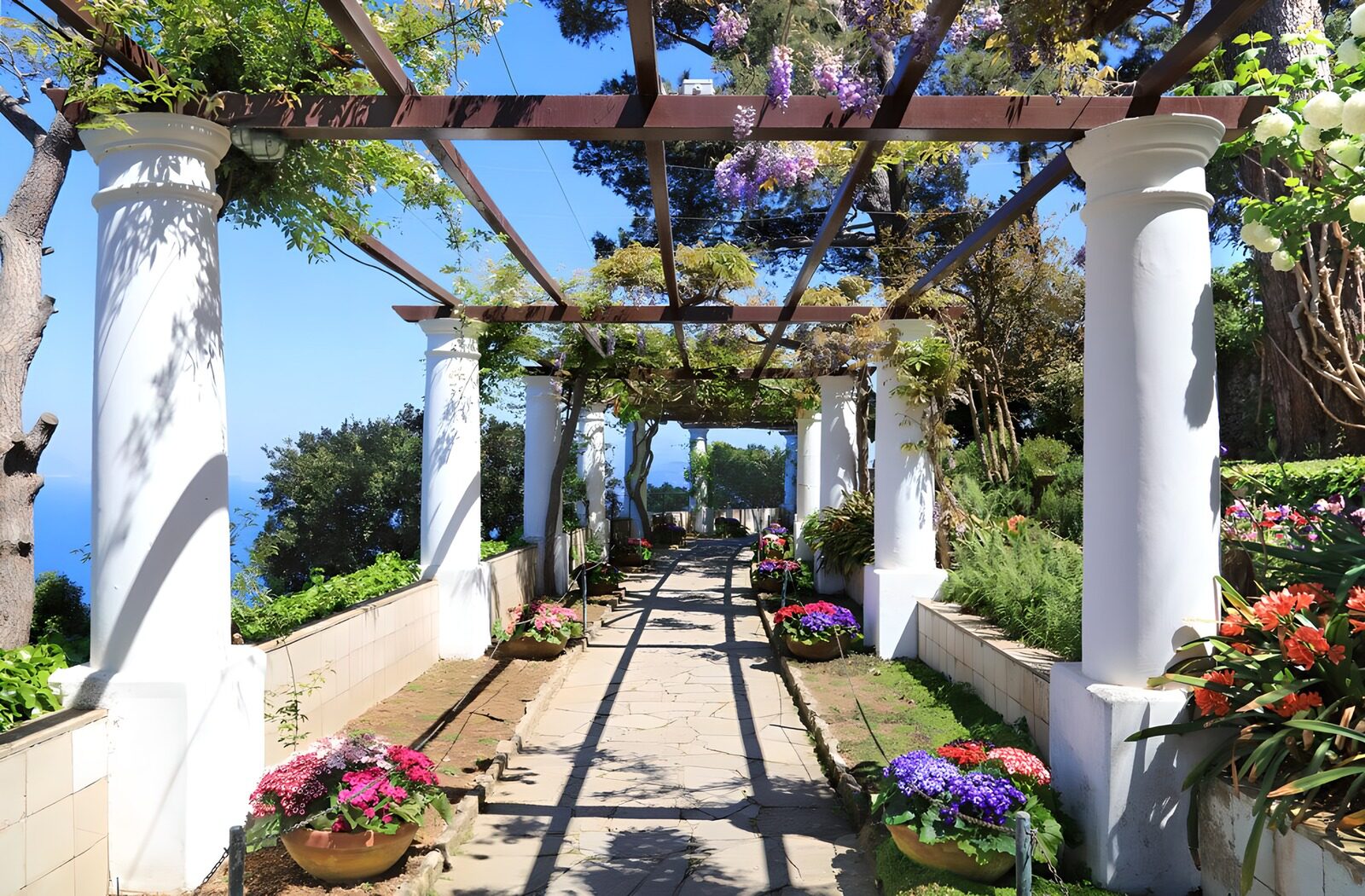 : Serene Floral Pathway in Bloom