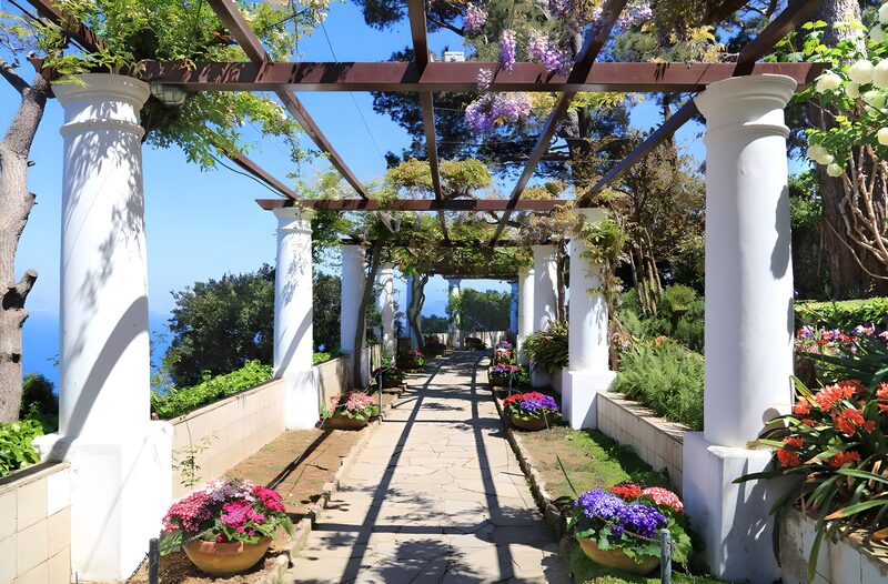 : Serene Floral Pathway in Bloom