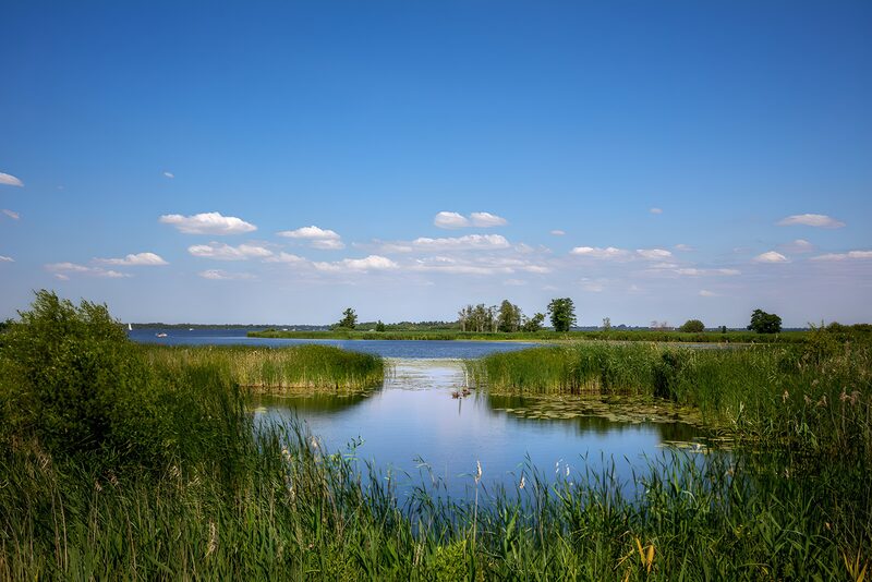 Tranquil Waterscape in Summer