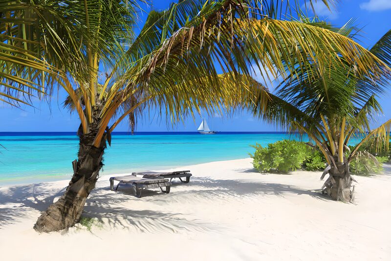 Tropical Paradise by the Sea