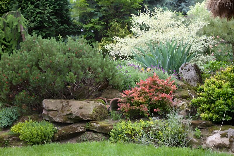 Lush Garden Serenity