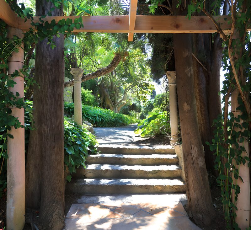 Tranquil Garden Pathway
