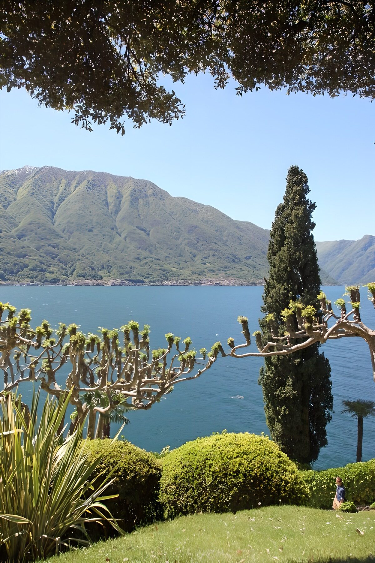 Serene Lakeside View with Mountains