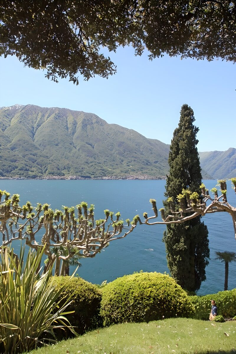 Serene Lakeside View with Mountains
