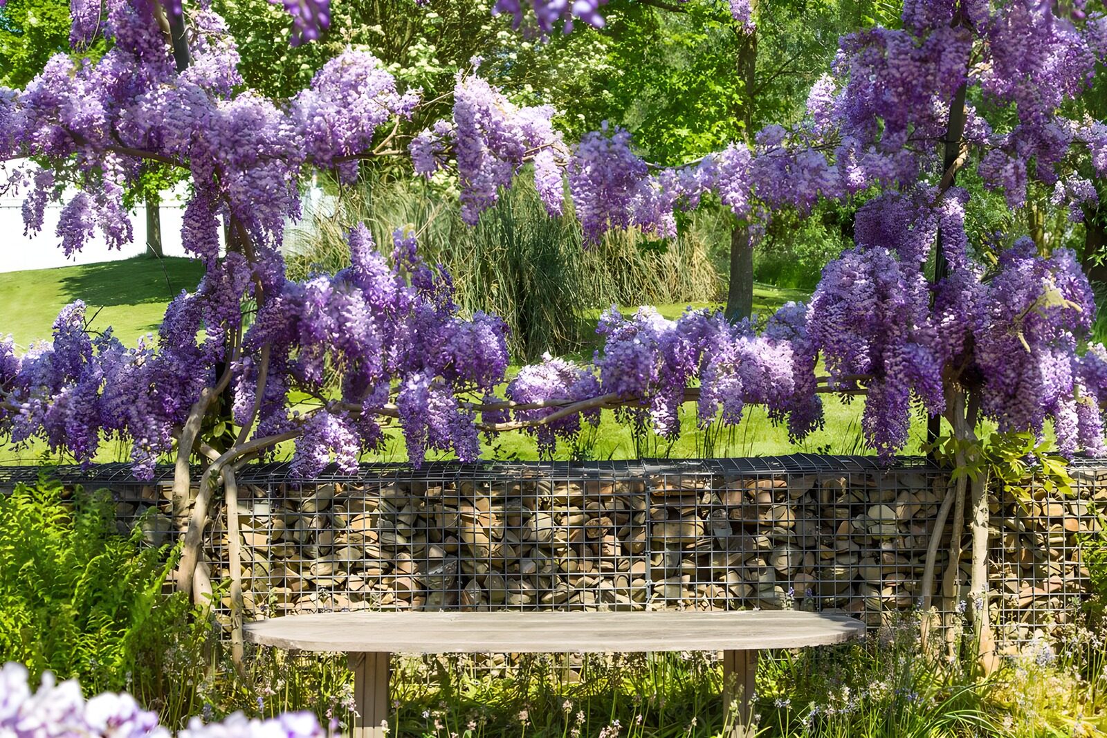 Serene Wisteria Garden Bench