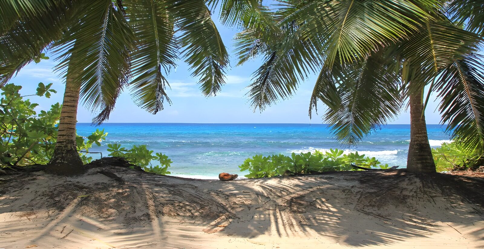 Tranquil Beach Oasis