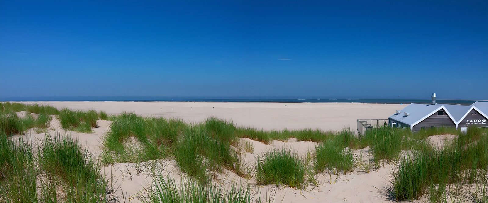 Tranquil Beach Oasis Under Clear Blue Sky