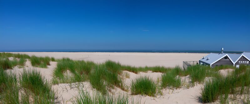 Tranquil Beach Oasis Under Clear Blue Sky