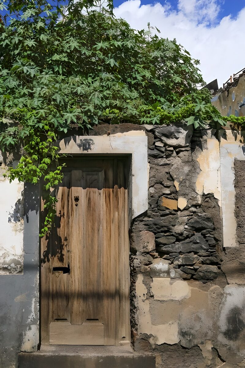 Forgotten Wooden Door
