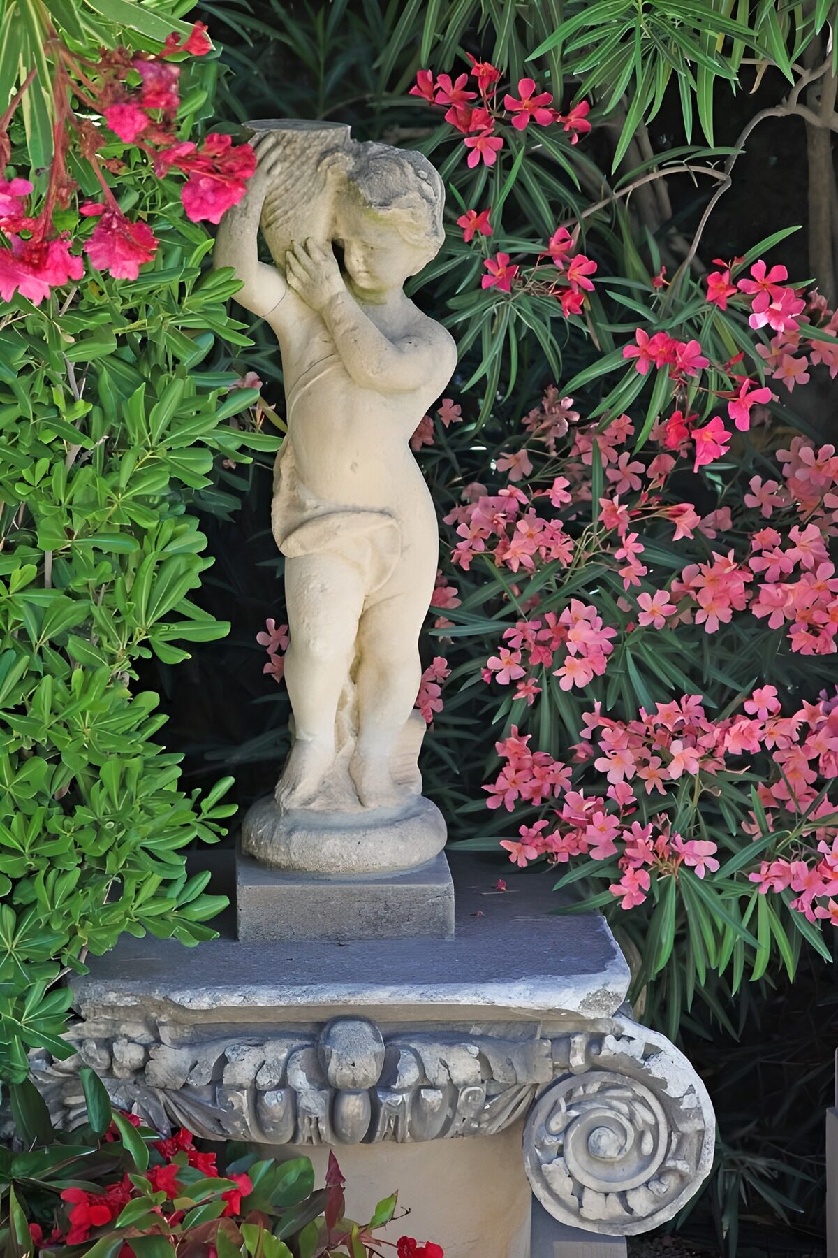 Cherub Statue Amidst Floral Beauty