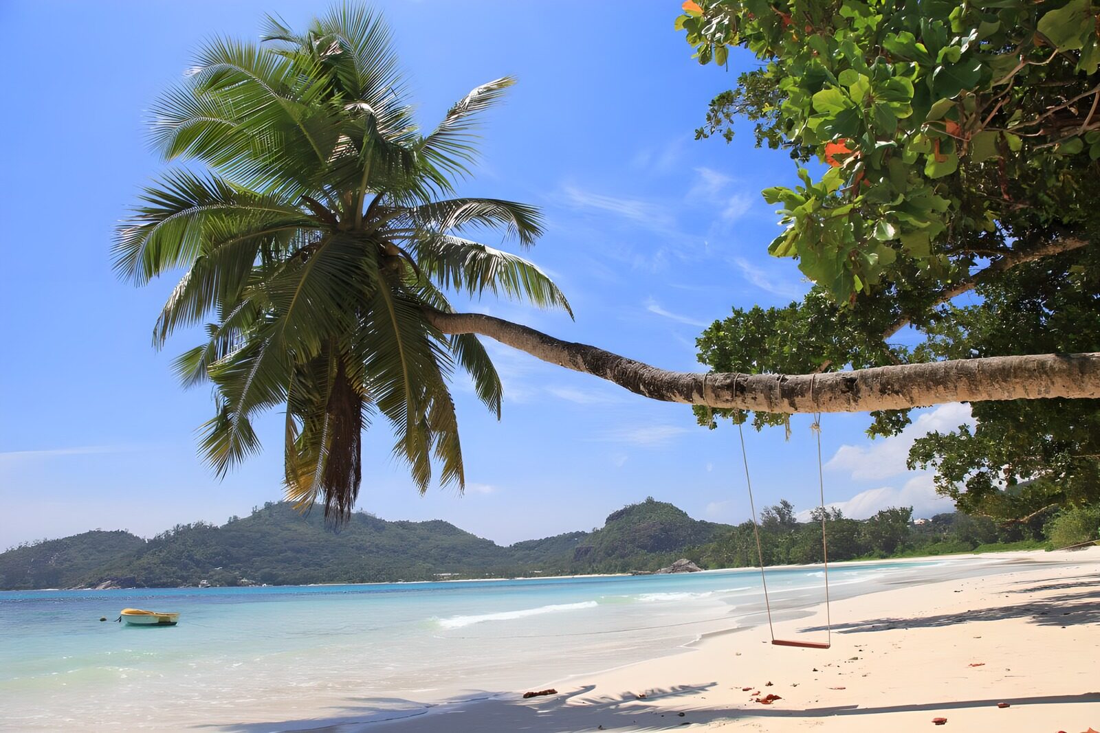 Tranquil Beach Swing Under Palm Tree