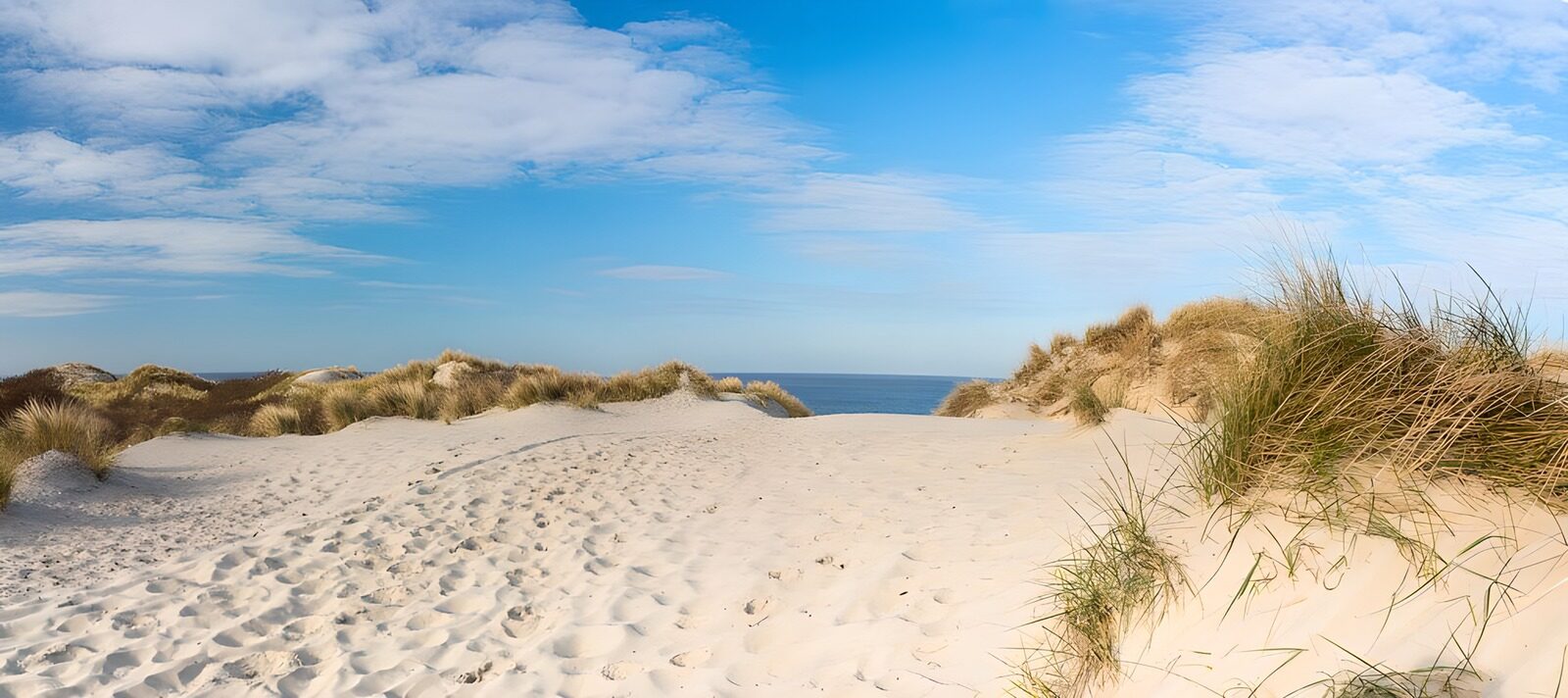 Serene Sandy Dunes by the Ocean