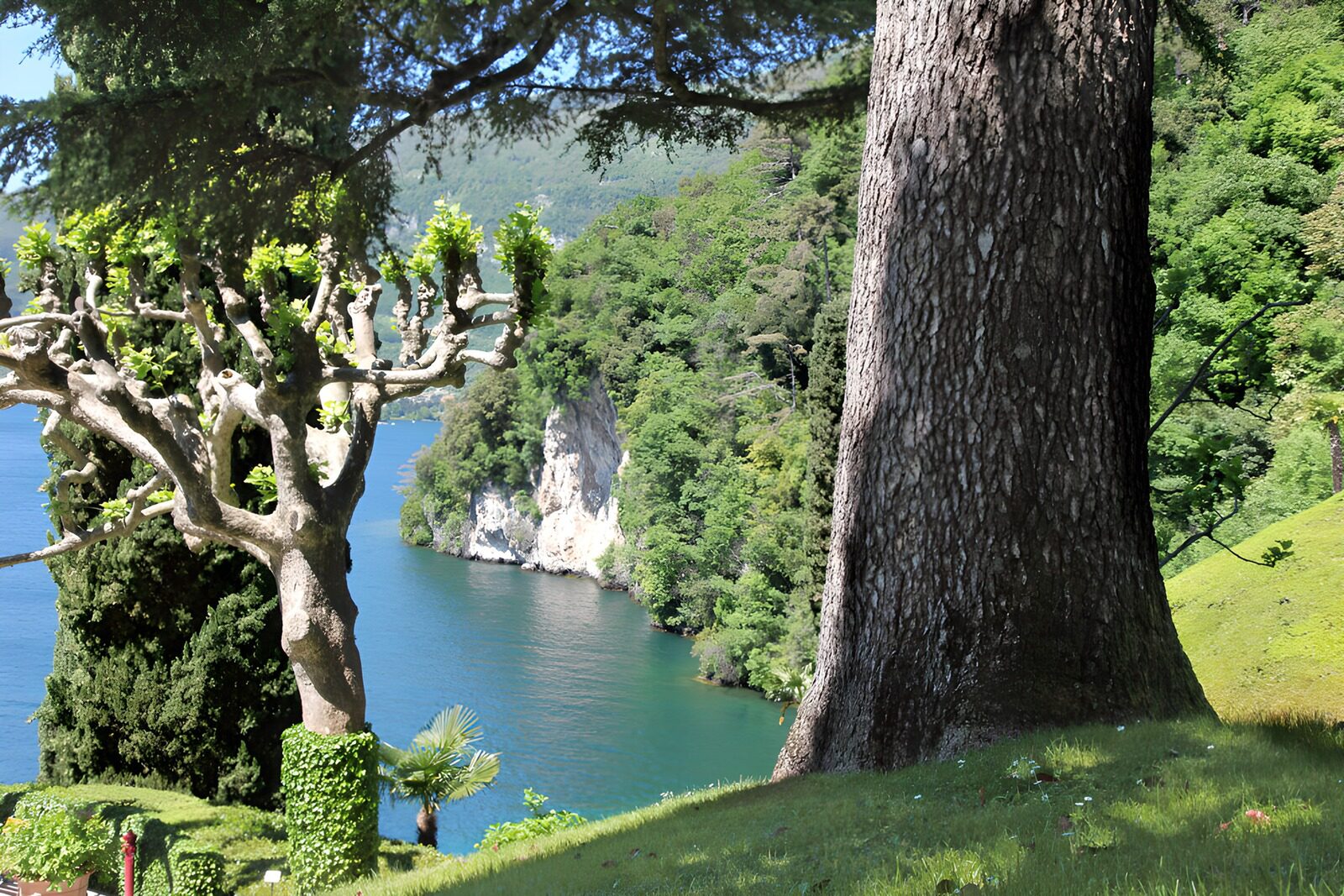 Serene Lakeside Landscape