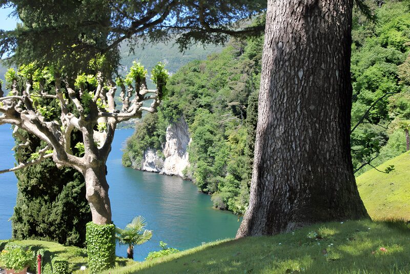 Serene Lakeside Landscape