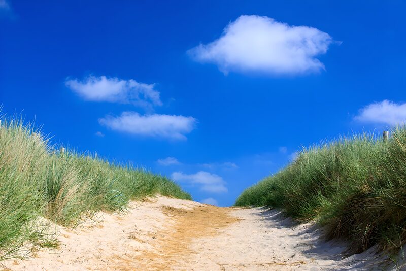 Pathway Through Tall Grass to the Beach