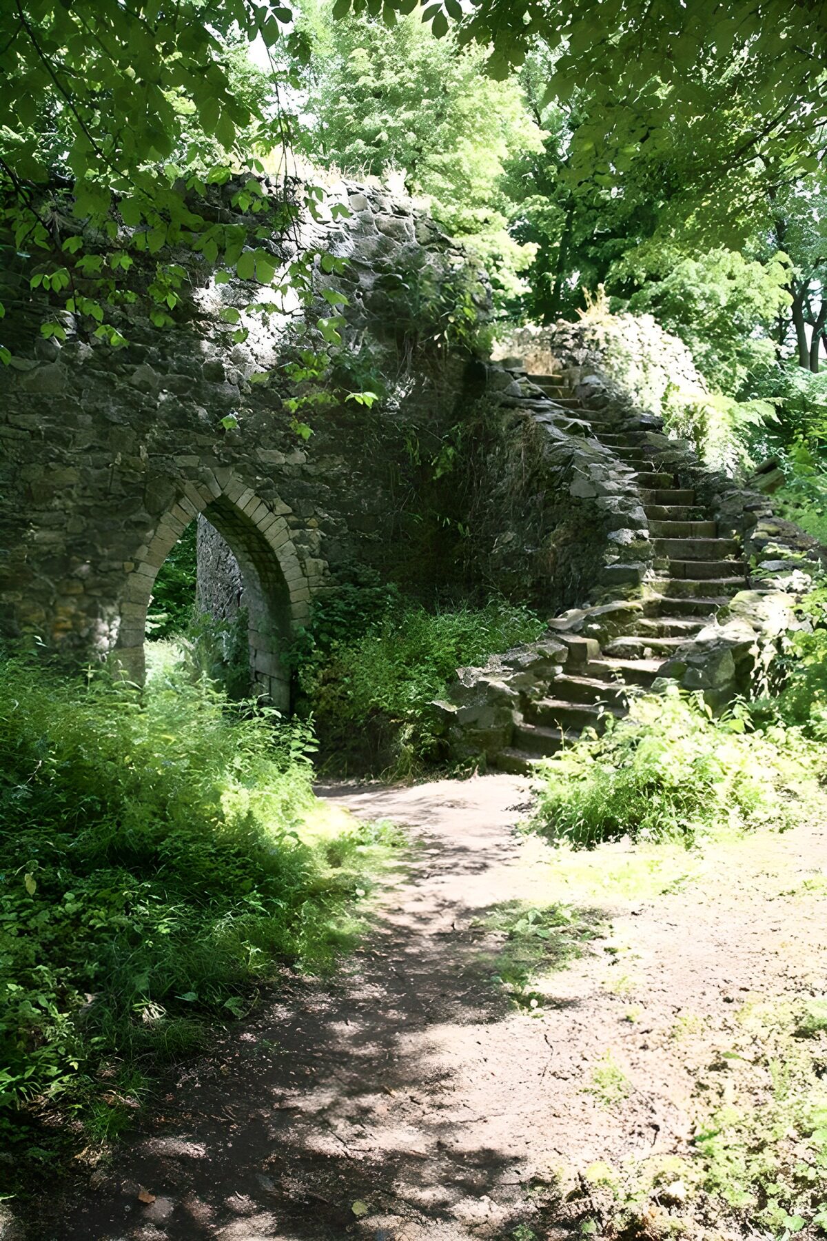 Enchanted Ruins in the Forest