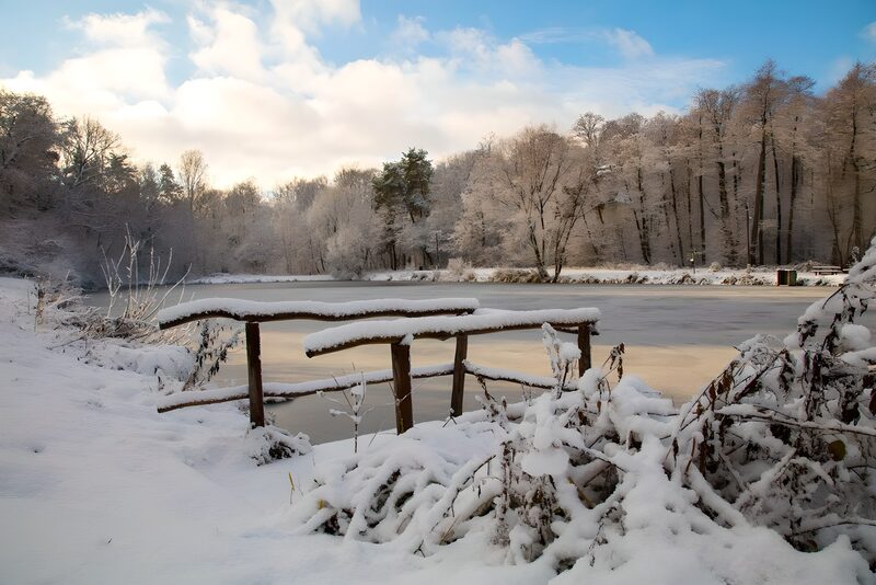 Serene Winter Landscape by the Frozen Lake