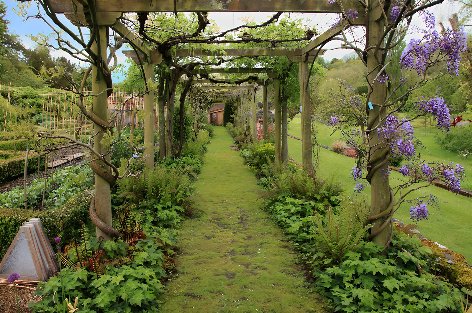 Serene Garden Pathway