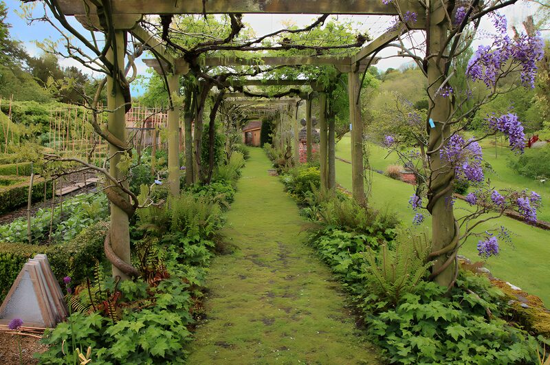 Serene Garden Pathway