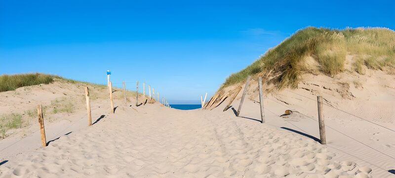 Tranquil Path to the Beach