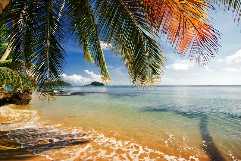 Serene Tropical Beach Paradise
