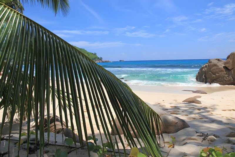 Tropical Beach Paradise