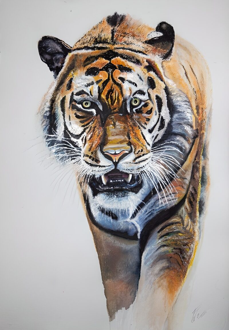 Majestic Tiger Portrait