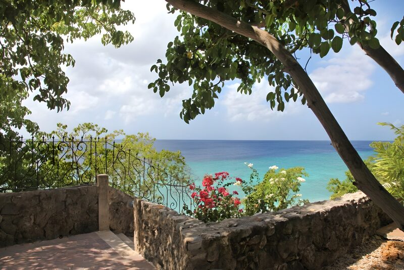 Serene Coastal View with Lush Foliage