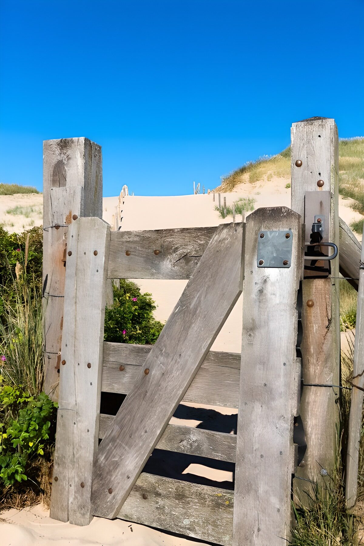 Coastal Gate to the Dunes
