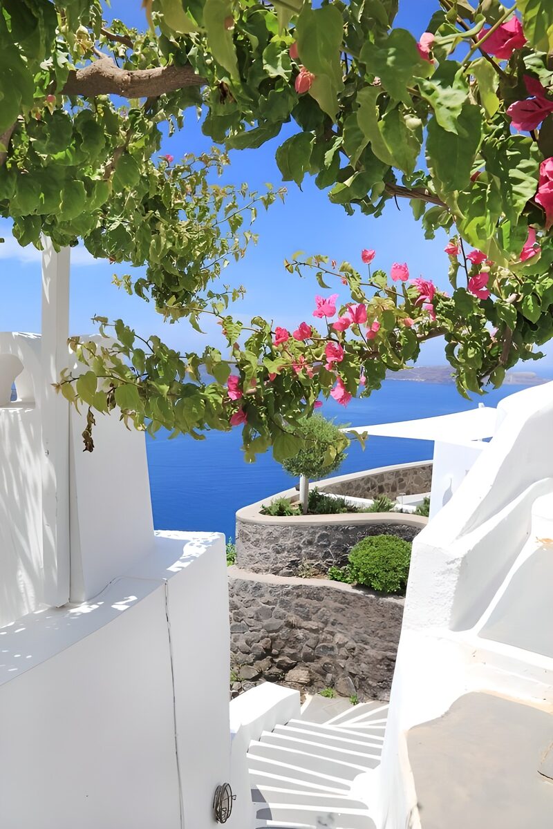 Blossoms by the Aegean Sea