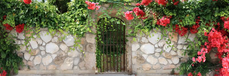 Enchanted Garden Gate