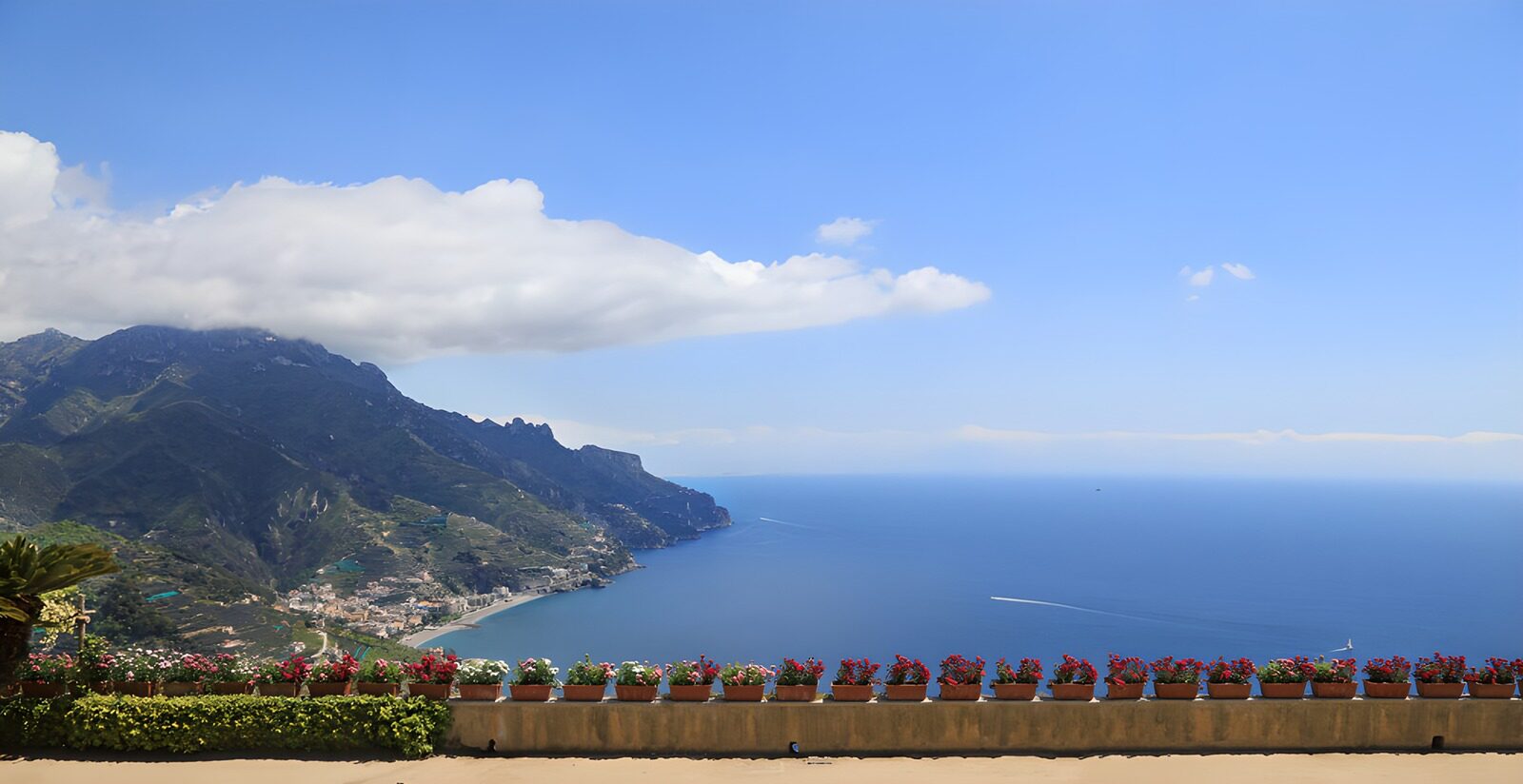 Coastal View with Flowers and Mountains