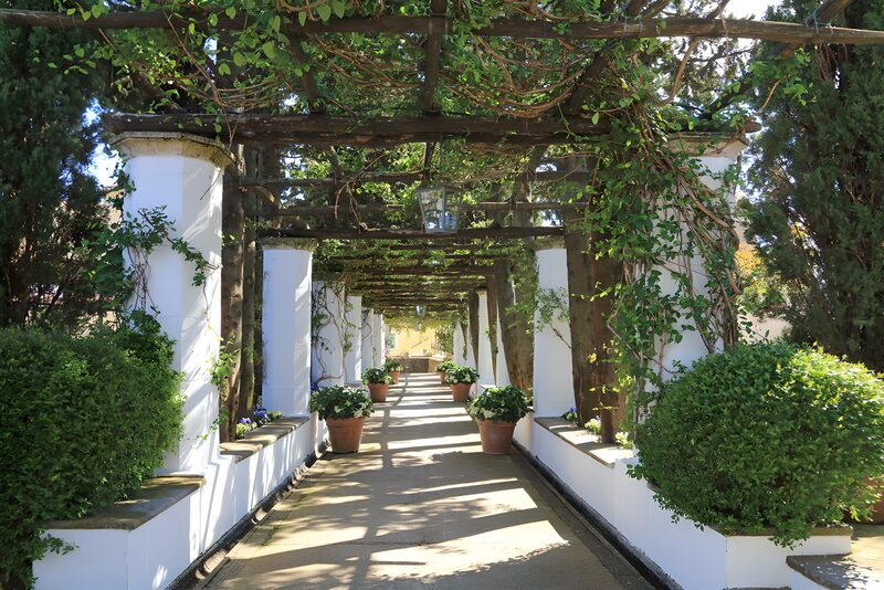 Tranquil Garden Pathway
