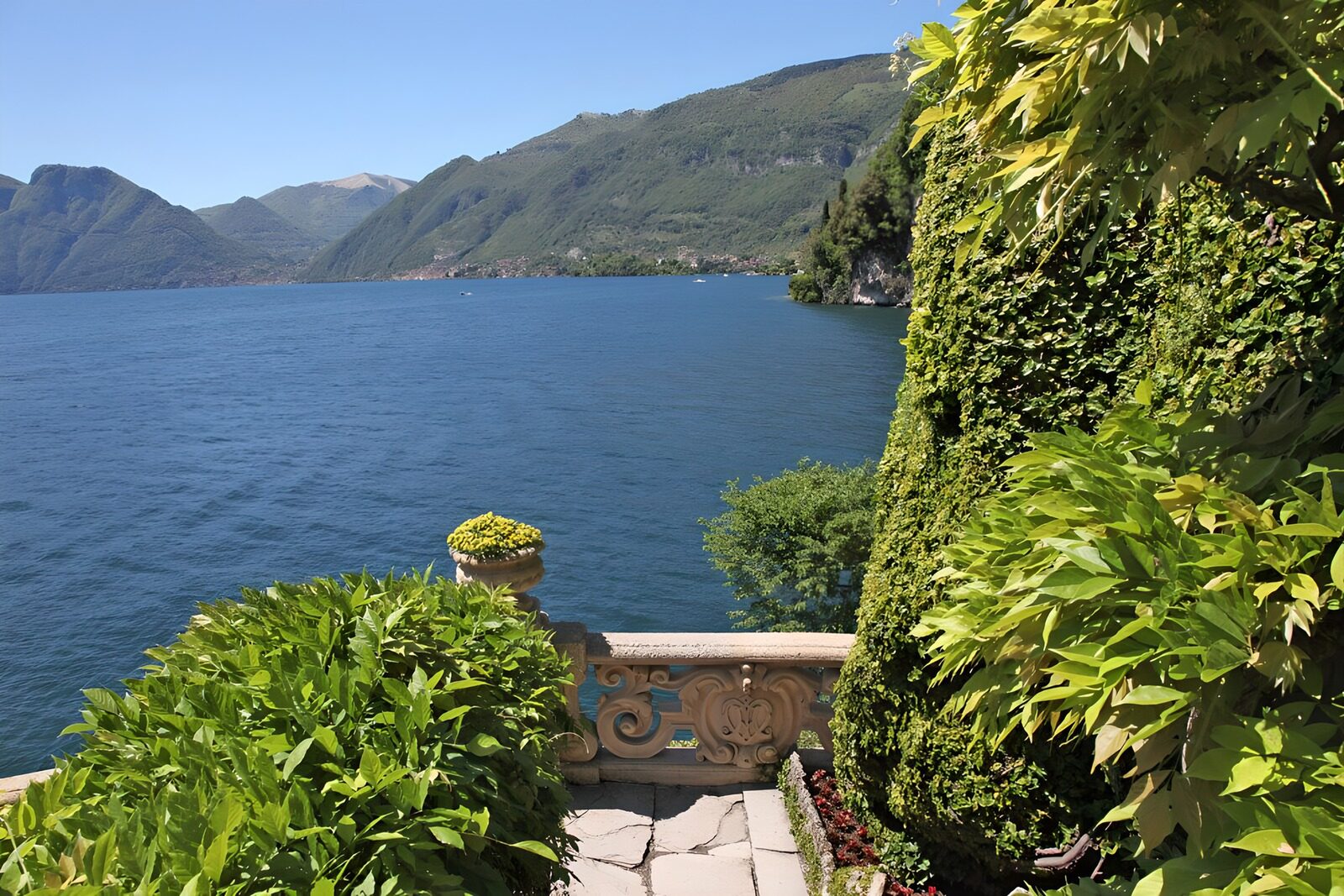 Serene Lakeside Garden View