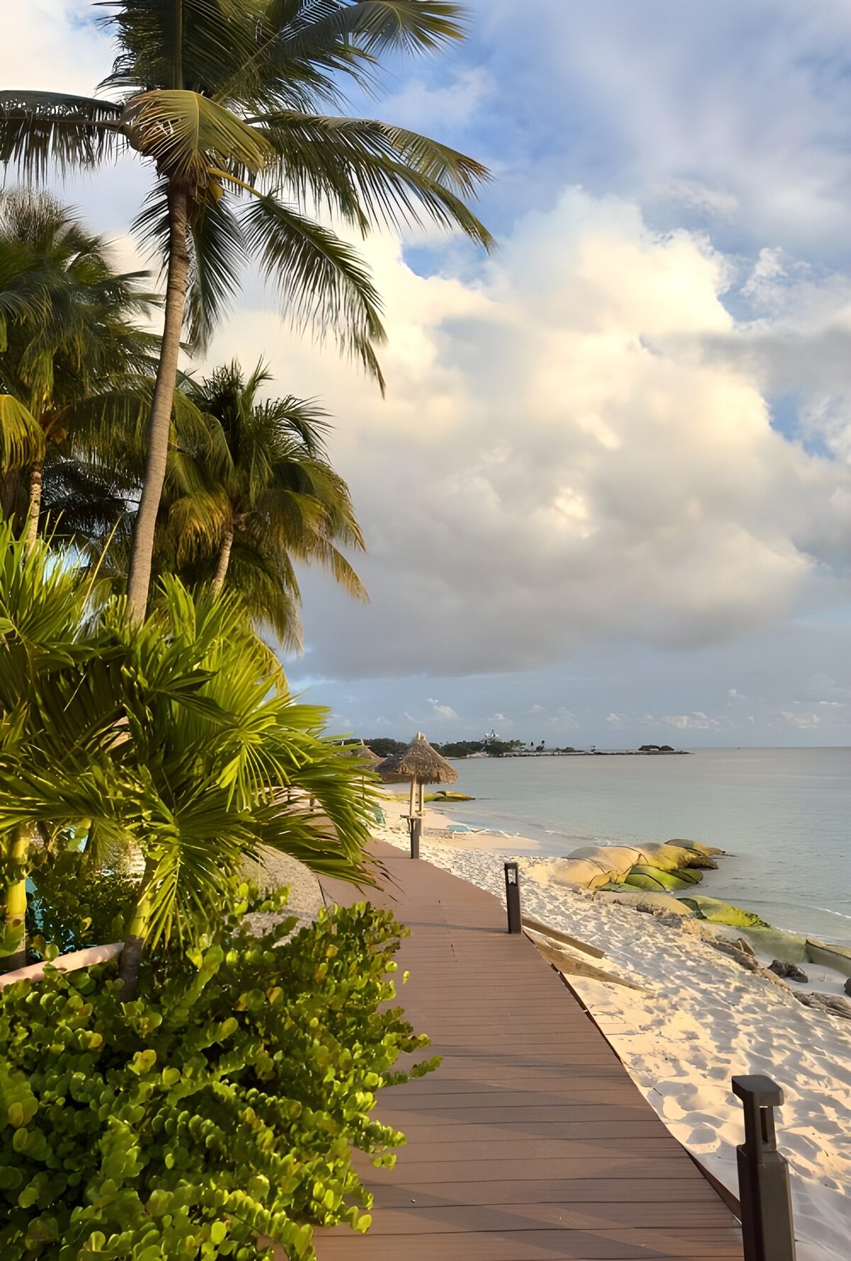 Tropical Beach Pathway