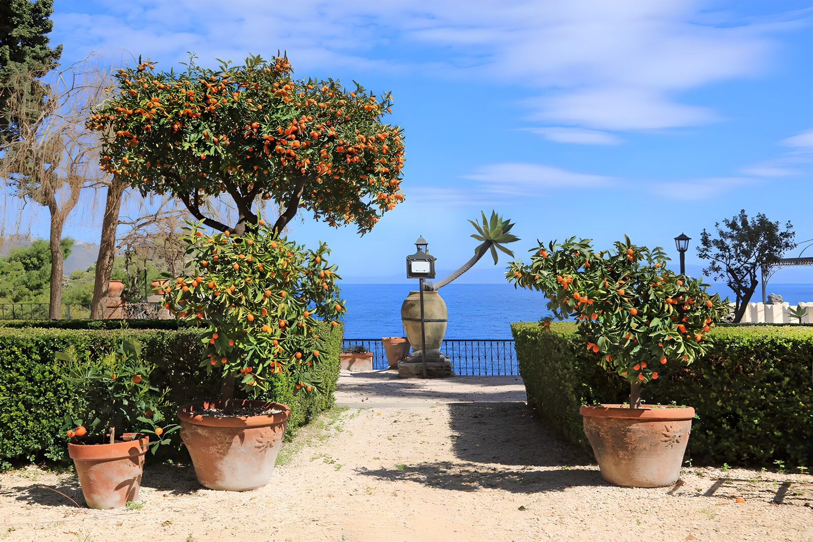 Coastal Garden Oasis with Fruiting Trees