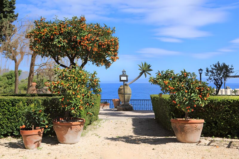 Coastal Garden Oasis with Fruiting Trees