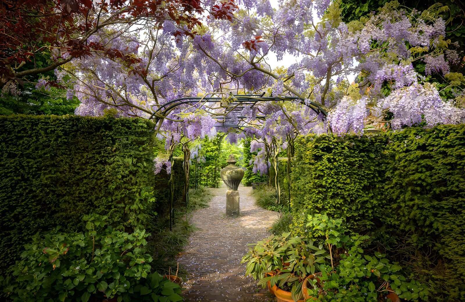Enchanted Garden Pathway