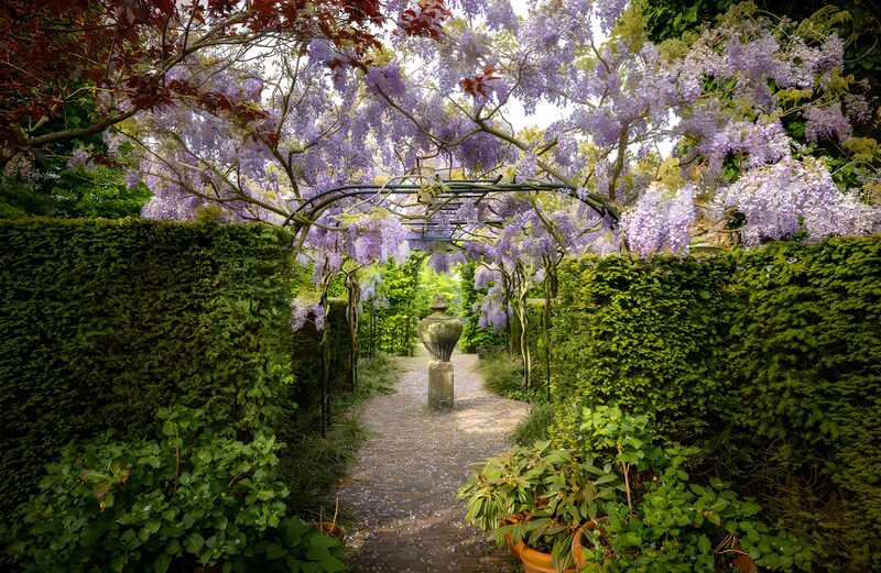 Enchanted Garden Pathway