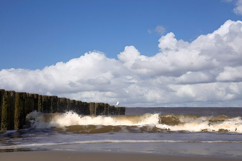 Serene Coastal Waves