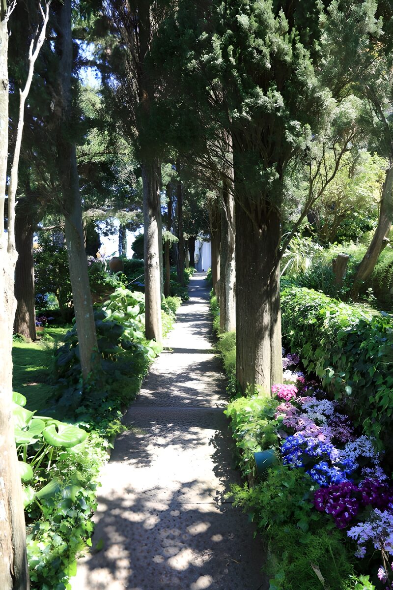 Serene Garden Pathway Amidst Lush Foliage