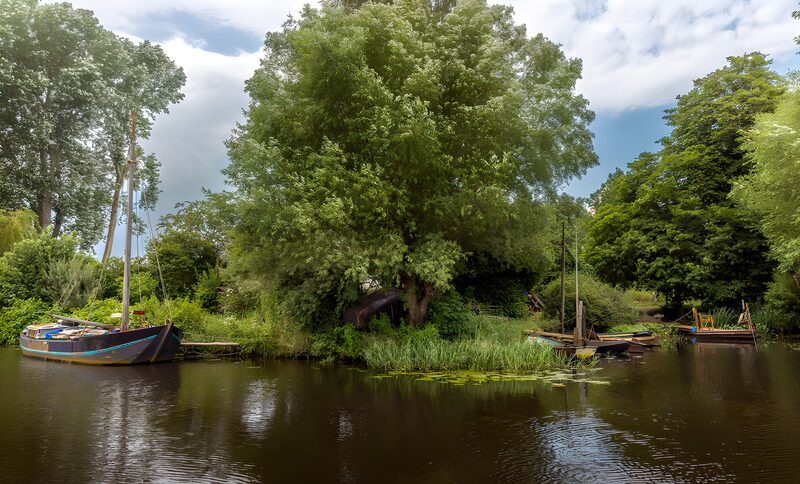 Tranquil Waterside Landscape