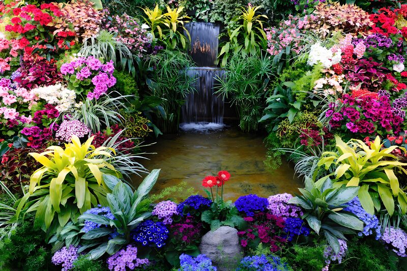 Vibrant Oasis with Waterfall
