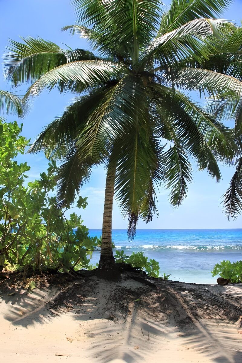 Serene Tropical Paradise
