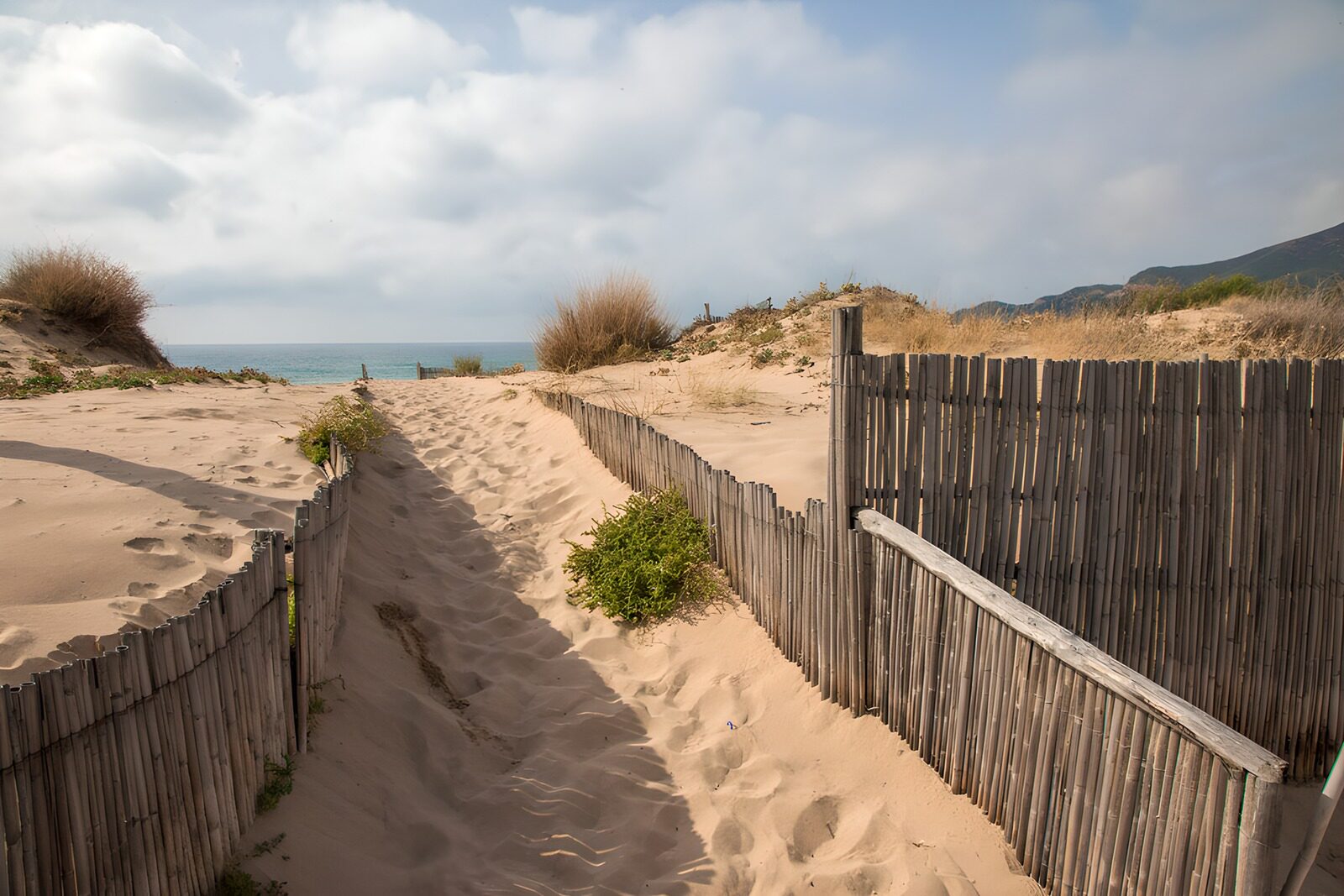 Tranquil Pathway to the Ocean