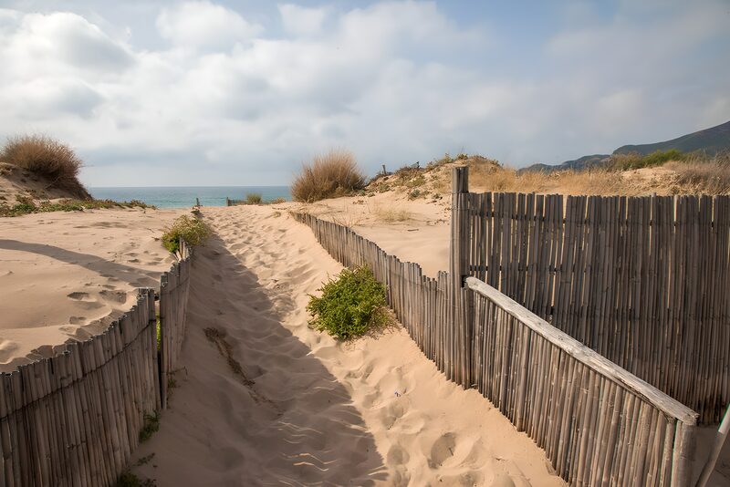 Tranquil Pathway to the Ocean